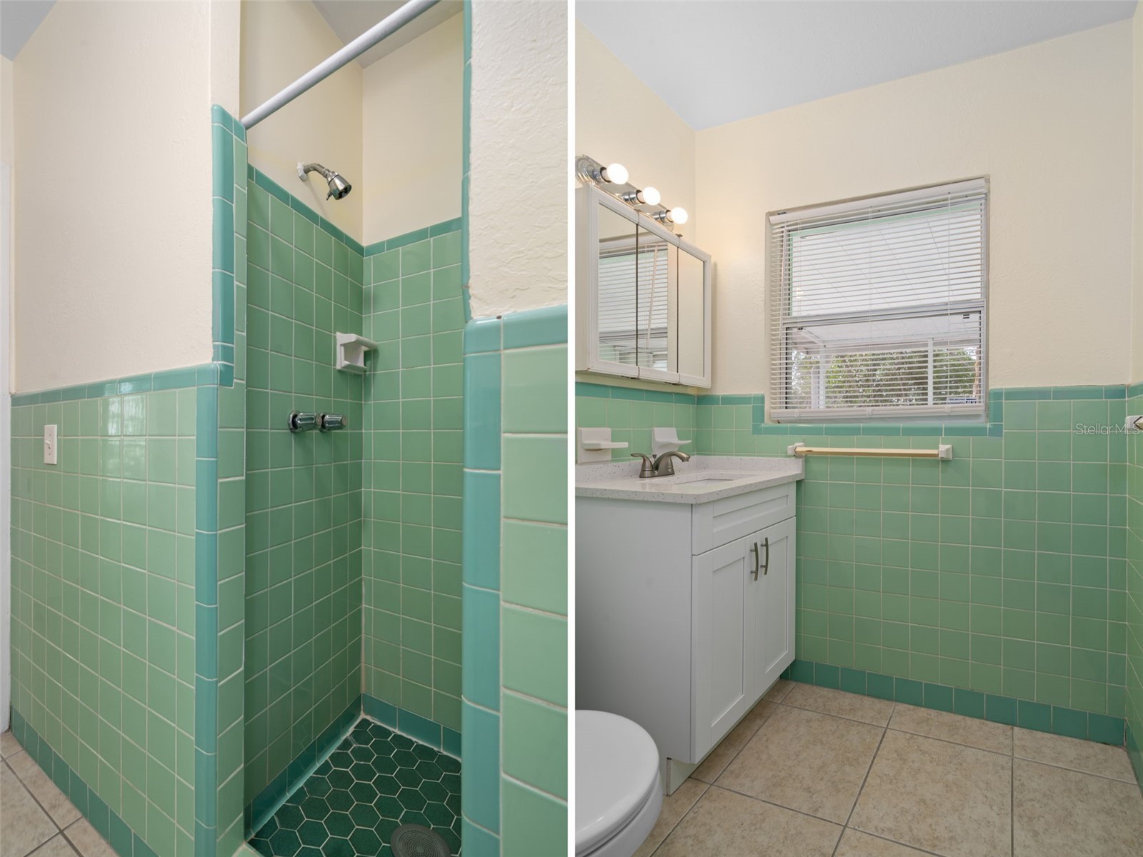 4808 W Euclid Avenue Tampa FL 33629 TB8490739 image40