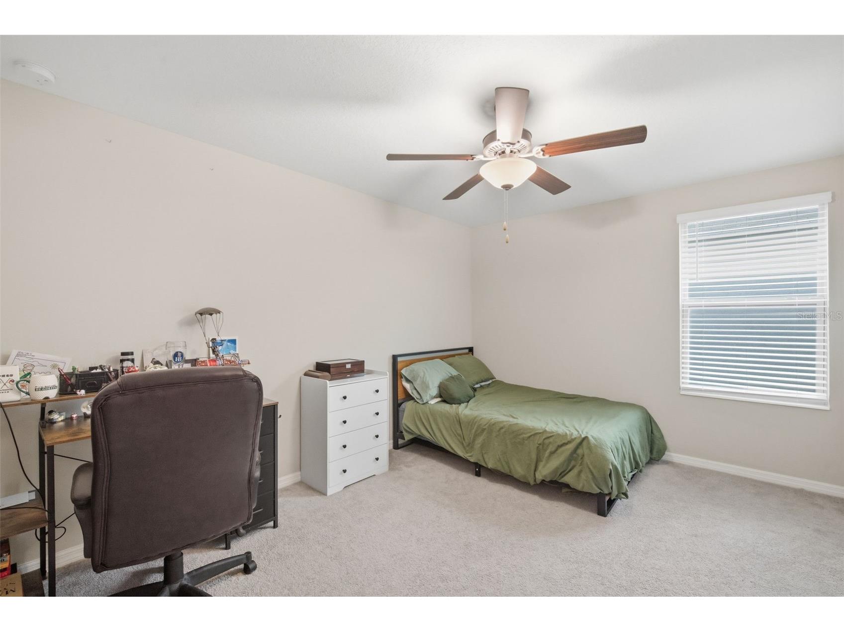 4808 Wild Senna Boulevard Tampa FL 33619 TB8513570 image40