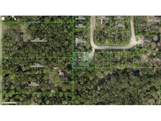 4809 Merlin Circle Ridge Manor FL 33523 O6290653 image4