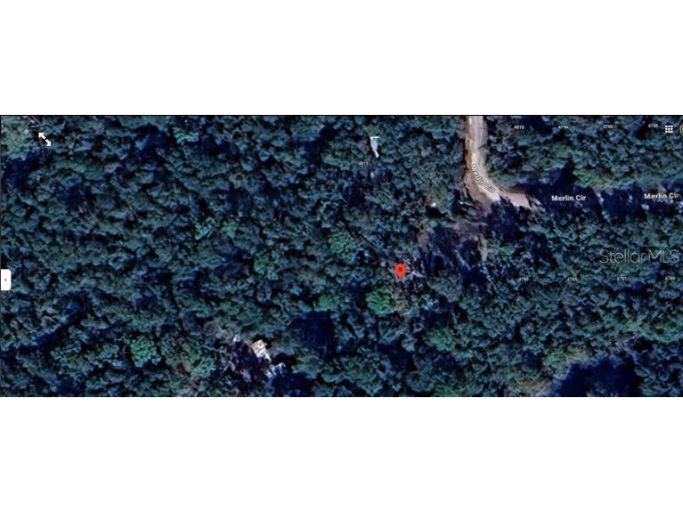 4809 Merlin Circle Ridge Manor FL 33523 O6290653 image5