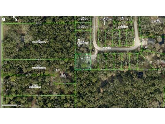 4809 Merlin Circle Ridge Manor FL 33523 O6290653 image6