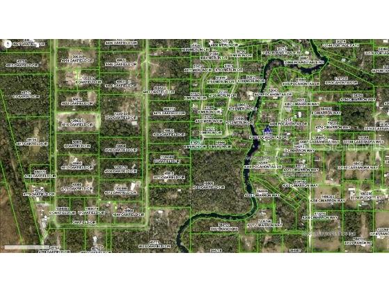 4809 Merlin Circle Ridge Manor FL 33523 O6290653 image7