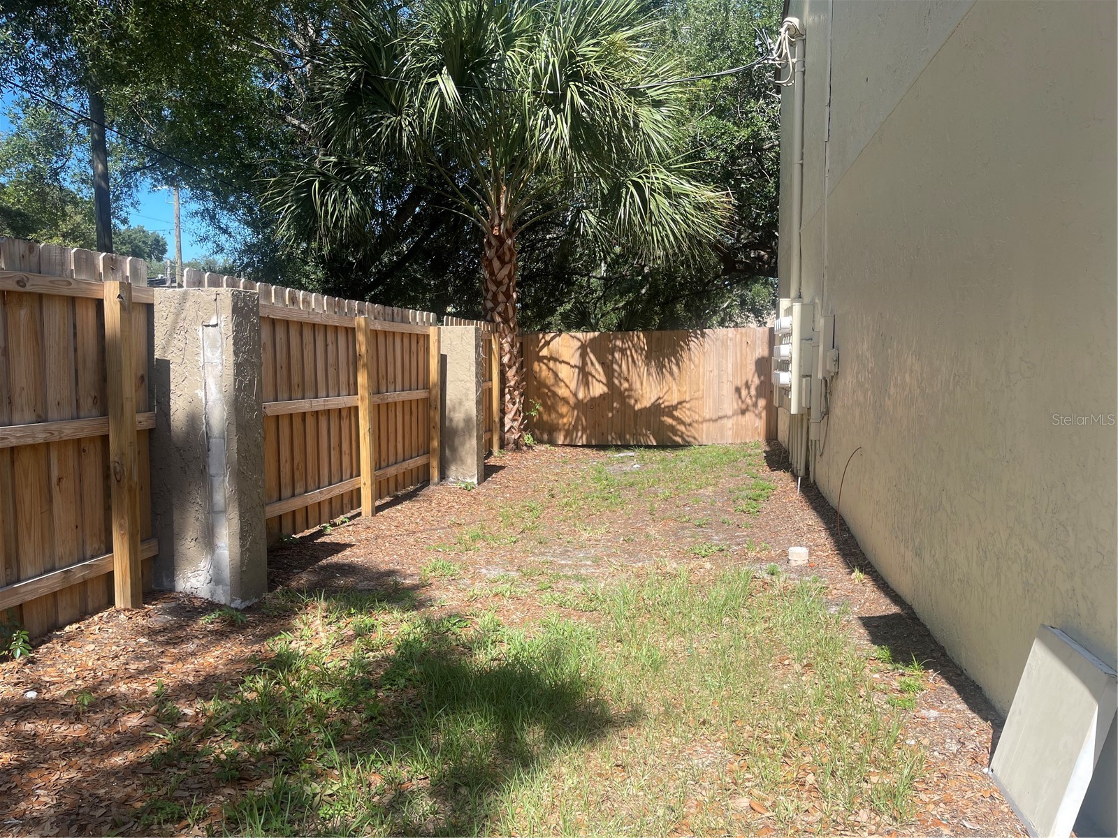 4809 S Mound Avenue #202 Tampa FL 33611 TB8515064 image3