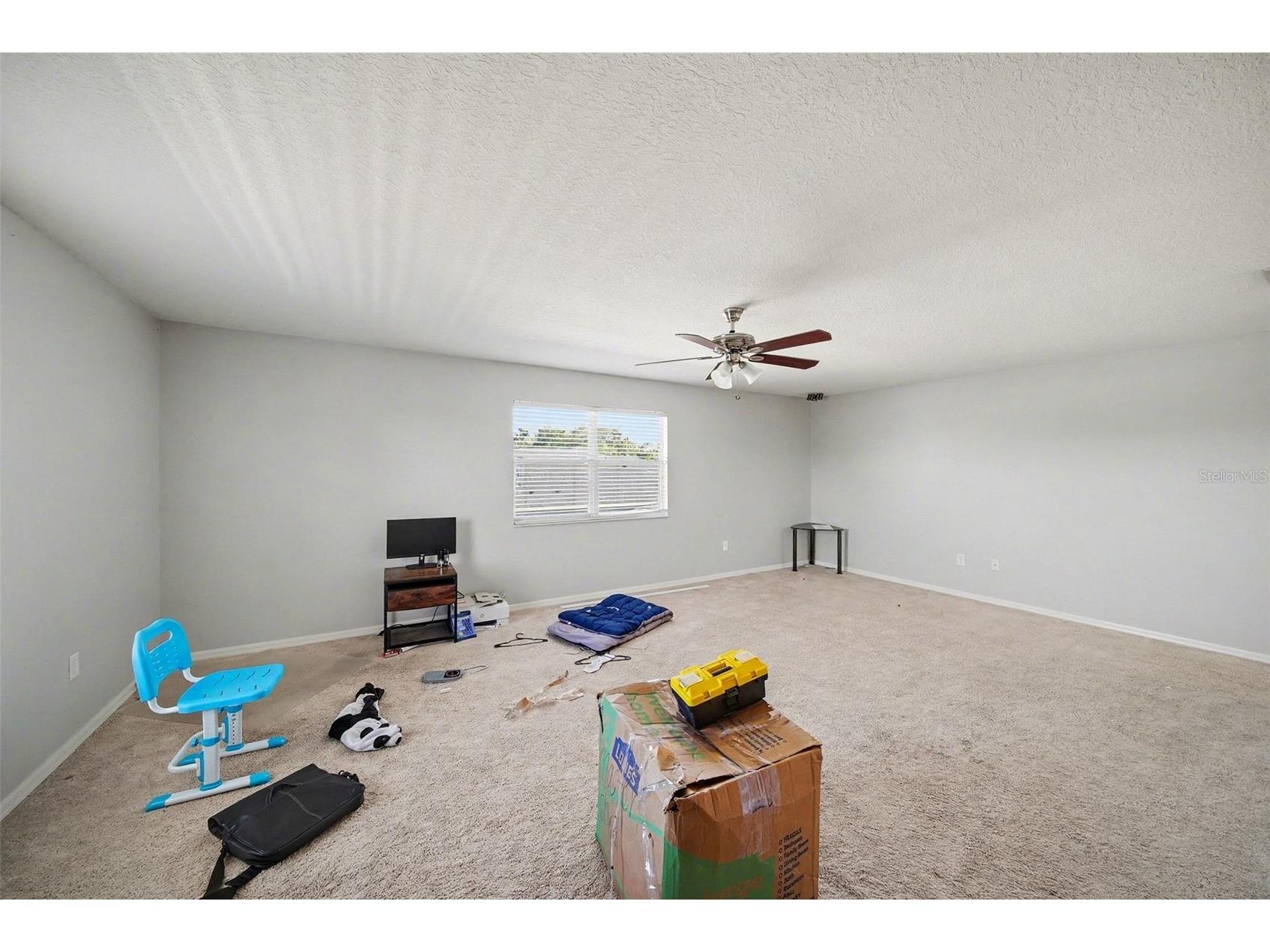 4809 Walnut Ridge Road Land O Lakes FL 34638 W7882438 image21
