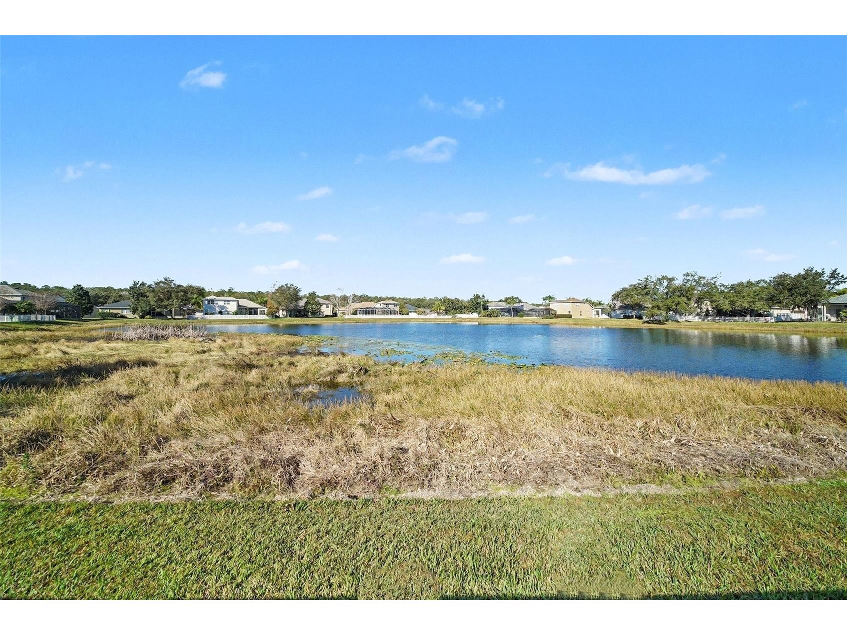 4809 Walnut Ridge Road Land O Lakes FL 34638 W7882438 image30