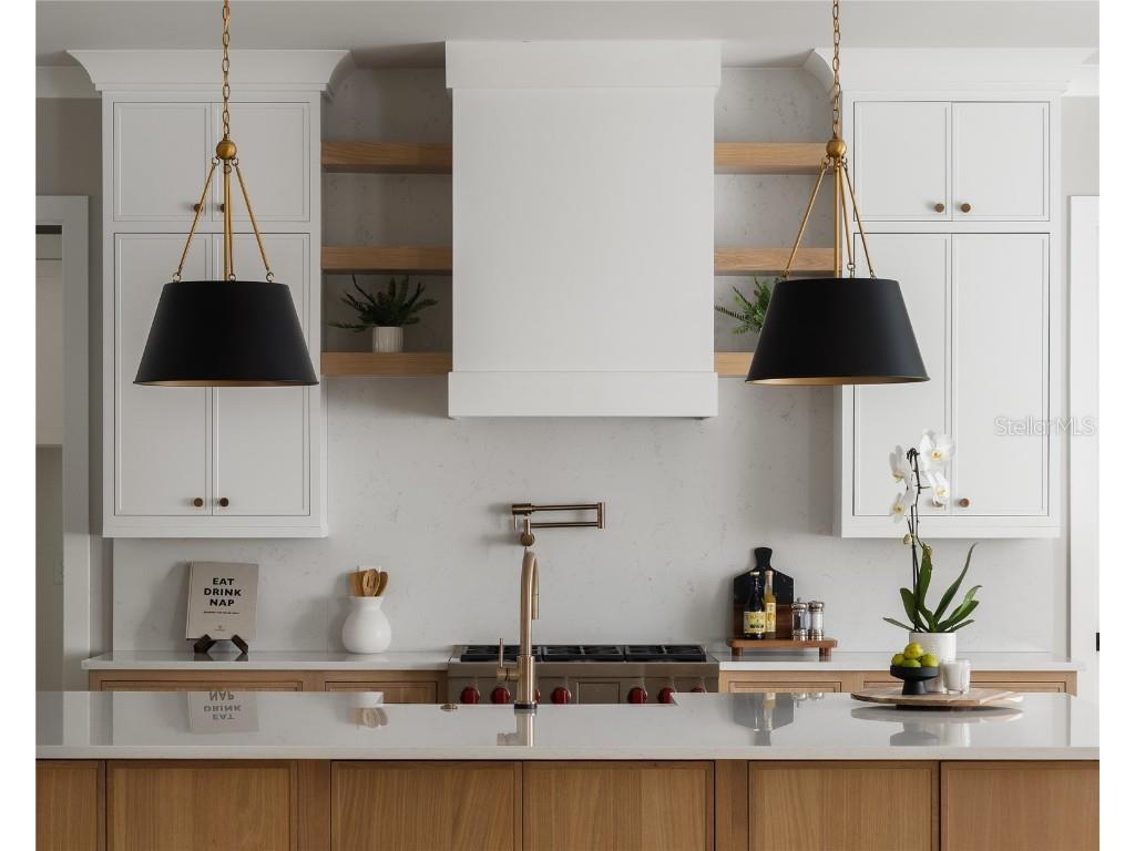 481 Bosphorous Avenue Tampa FL 33606 TB8386855 image4