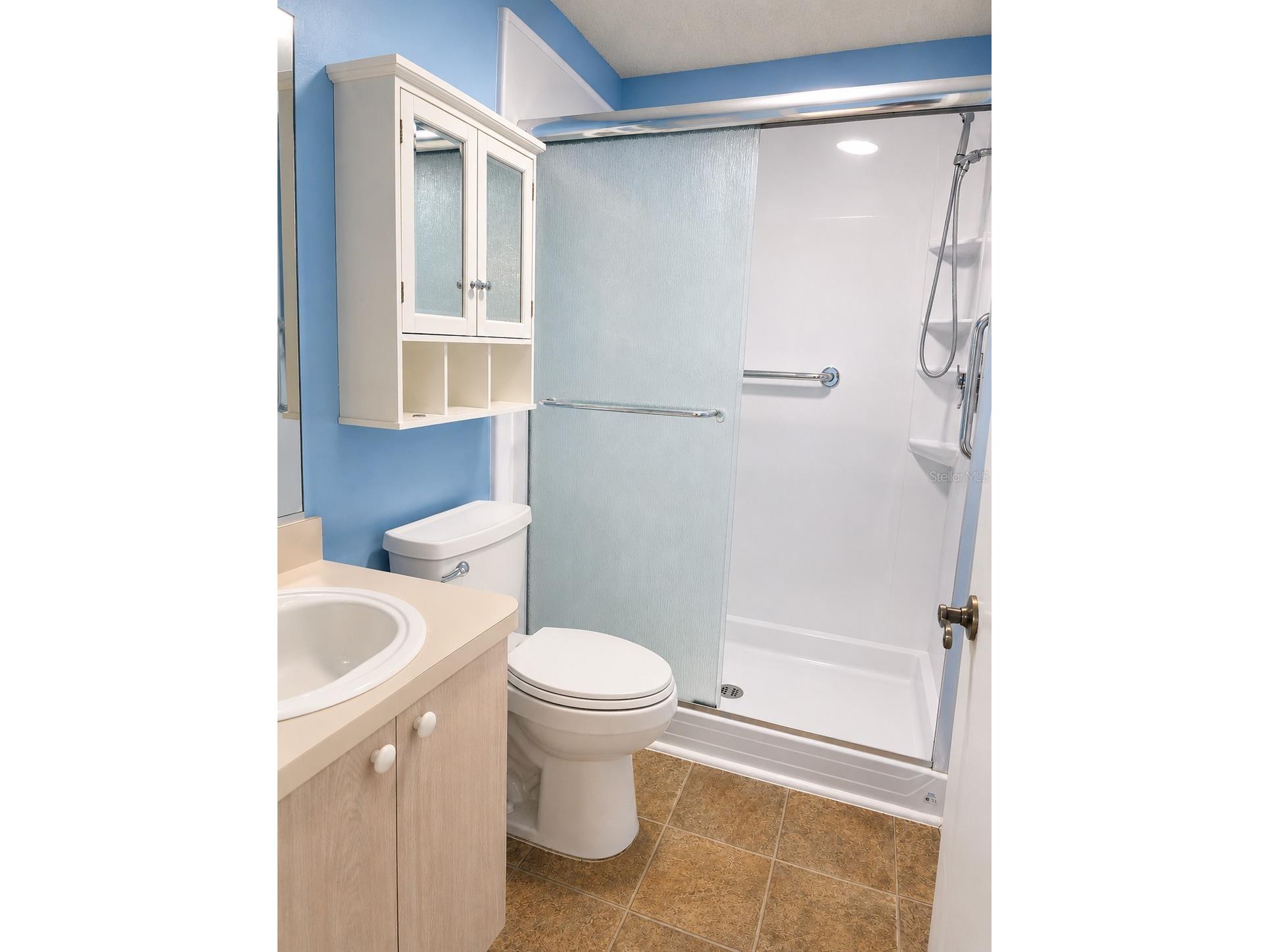 481 Hildalgo Drive The Villages FL 32159 O6414452 image8