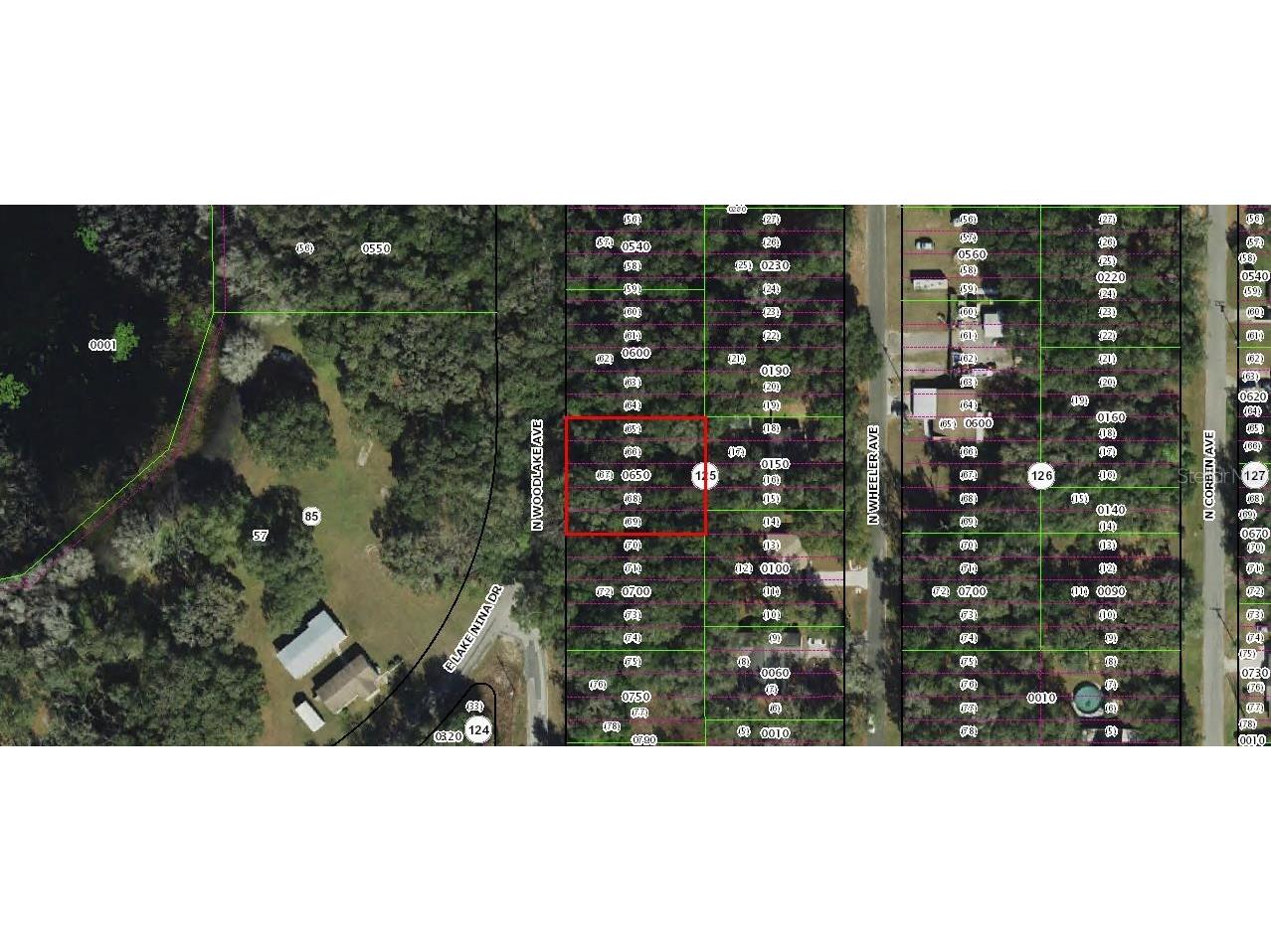 481 N Woodlake Avenue Inverness FL 34453 A4643200 image1