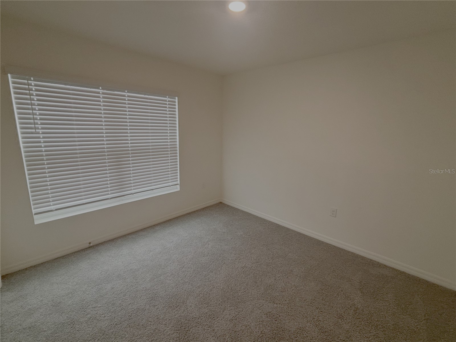 481 W Rexford Drive Beverly Hills FL 34465 OM726976 image8
