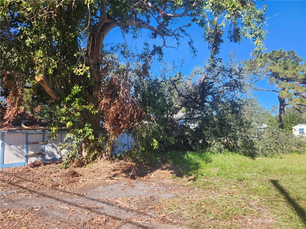 4810 13th Avenue S Saint Petersburg FL 33711 W7870435 image7