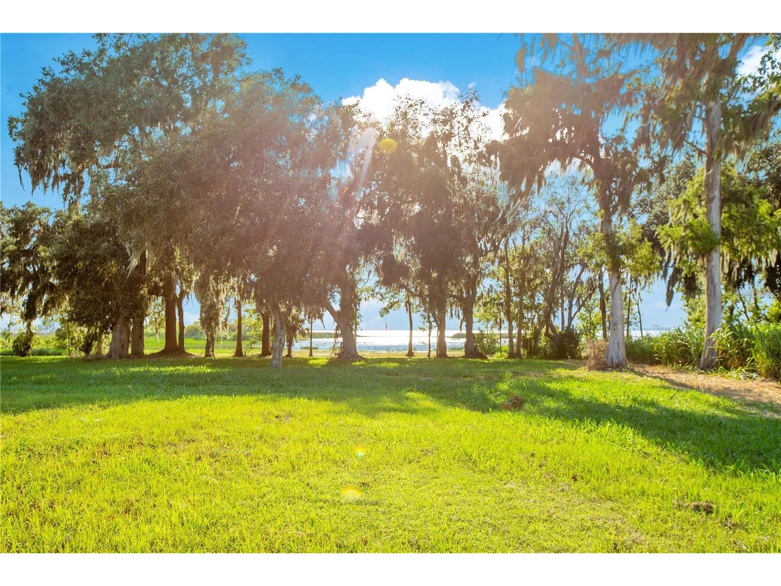 4810 Calasans Avenue Saint Cloud FL 34771 O6407667 image40