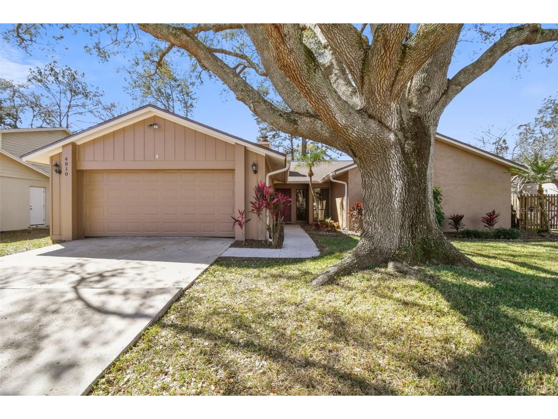 4810 Fox Hunt Drive Tampa FL 33624 T3506695 image1