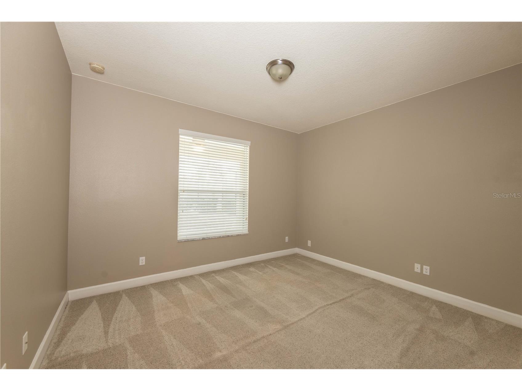 4810 Lake Milly Drive Orlando FL 32839 O6398311 image20