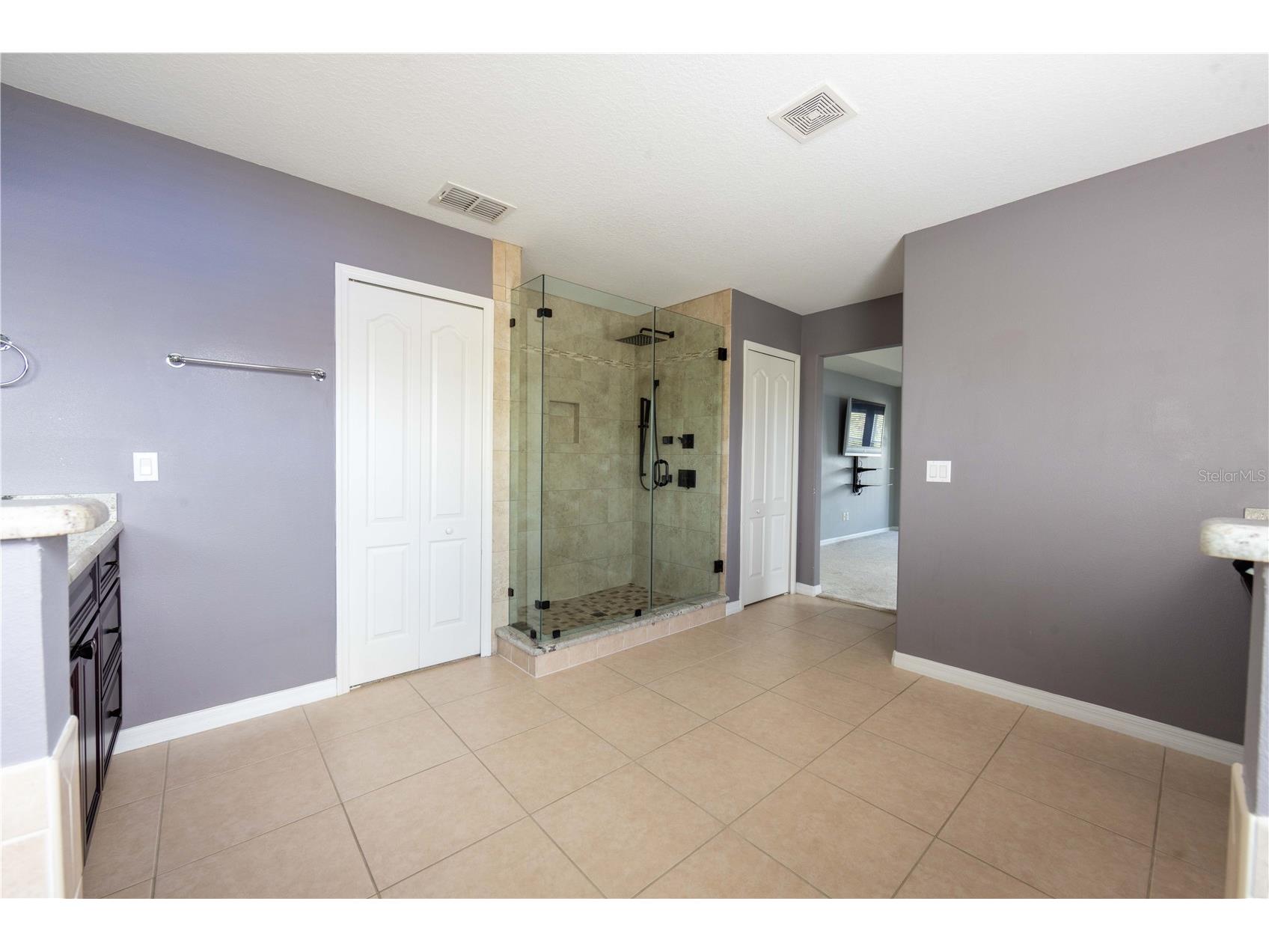 4810 Lake Milly Drive Orlando FL 32839 O6398311 image29