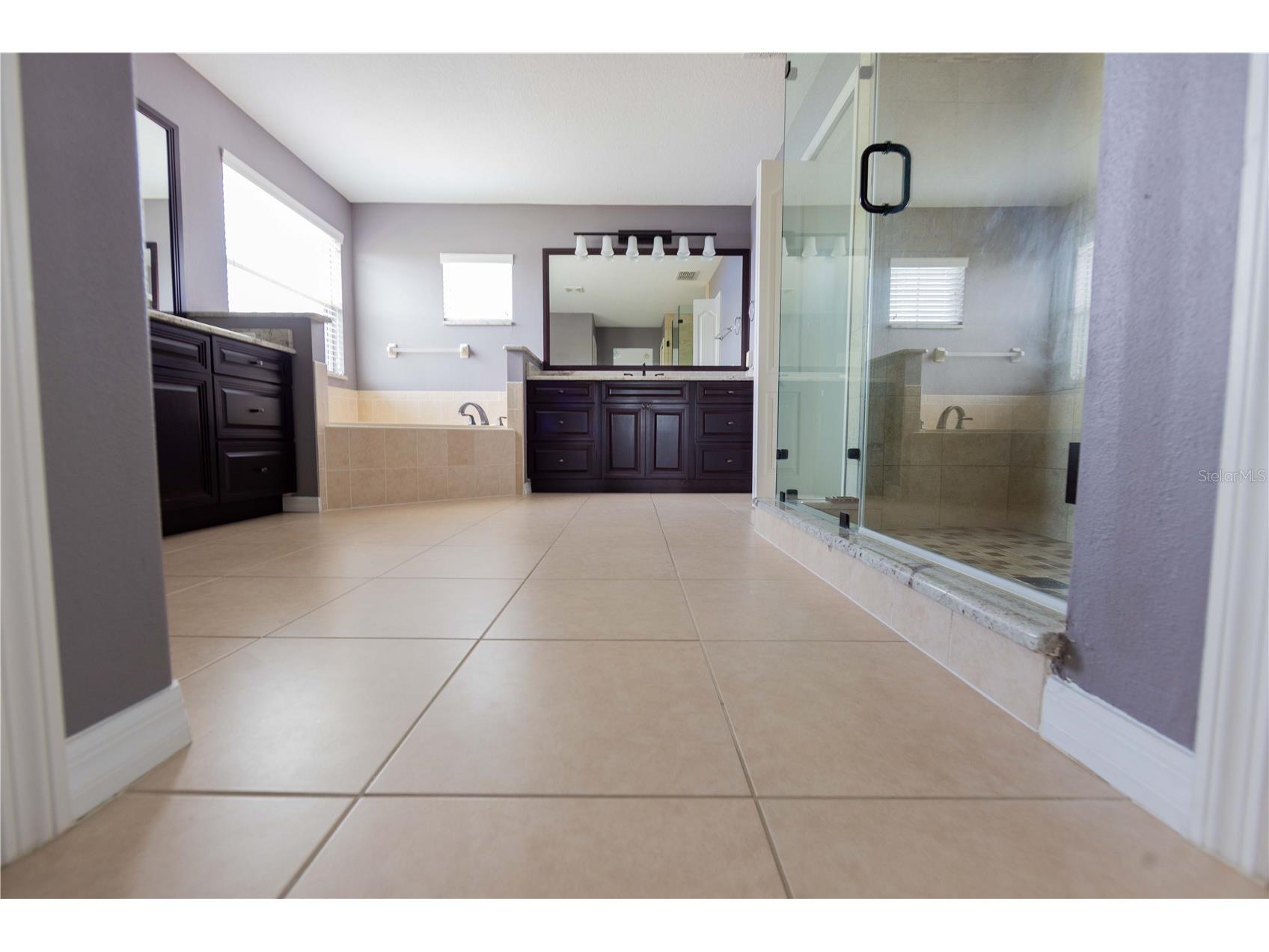 4810 Lake Milly Drive Orlando FL 32839 O6398311 image30
