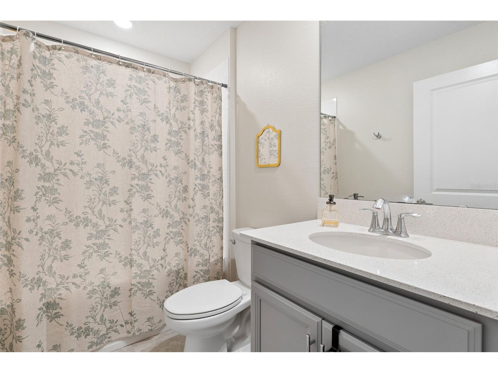 4810 Magnetite Loop Mount Dora FL 32757 O6412931 image13