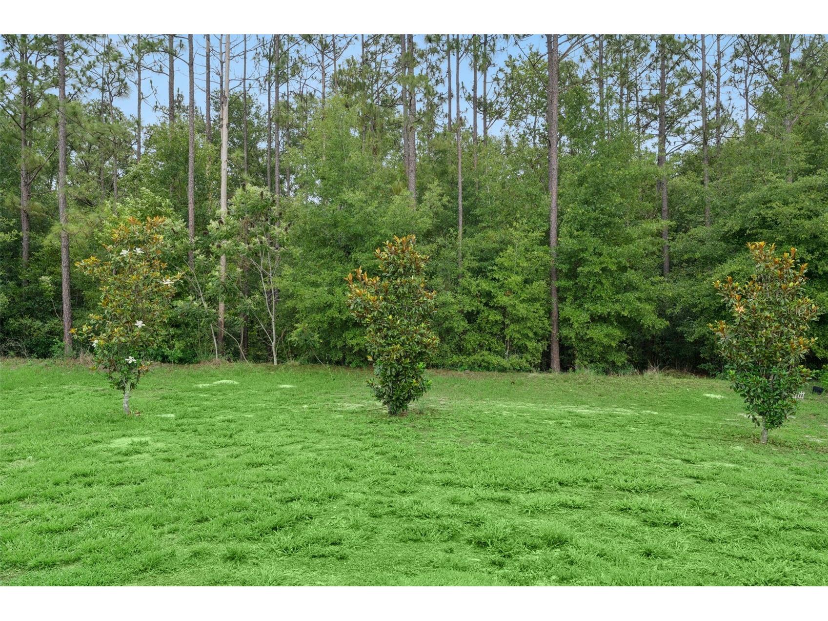 4810 Magnetite Loop Mount Dora FL 32757 O6412931 image19