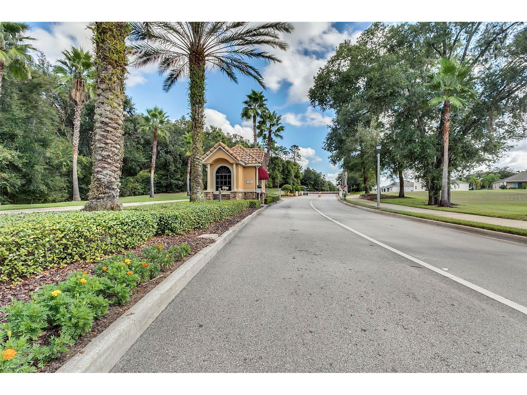 4810 Magnetite Loop Mount Dora FL 32757 O6412931 image20
