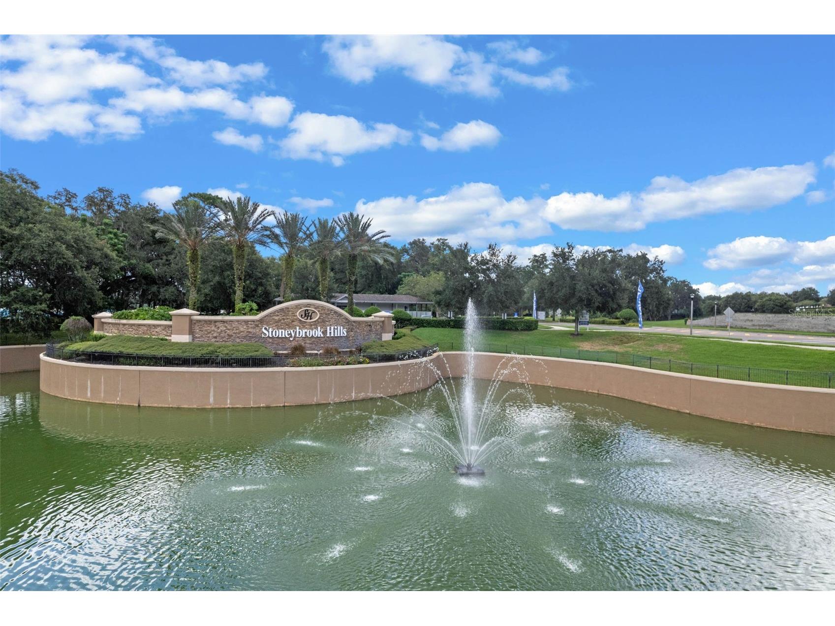 4810 Magnetite Loop Mount Dora FL 32757 O6412931 image21