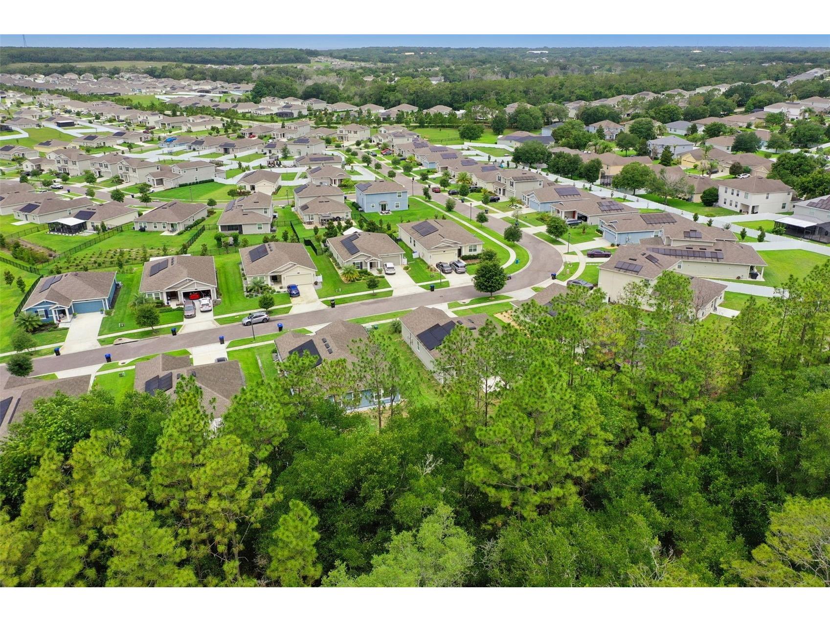 4810 Magnetite Loop Mount Dora FL 32757 O6412931 image48