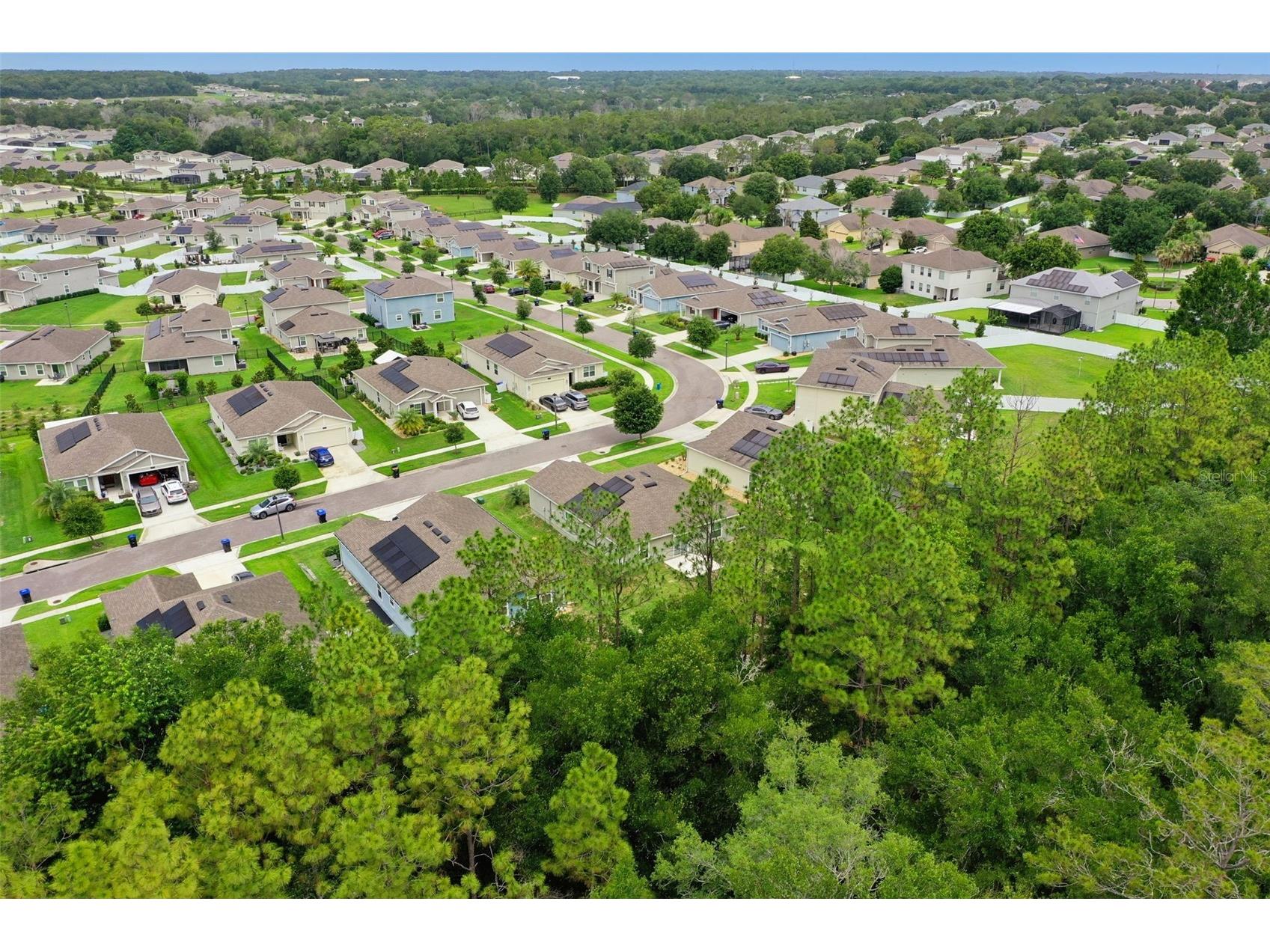 4810 Magnetite Loop Mount Dora FL 32757 O6412931 image49