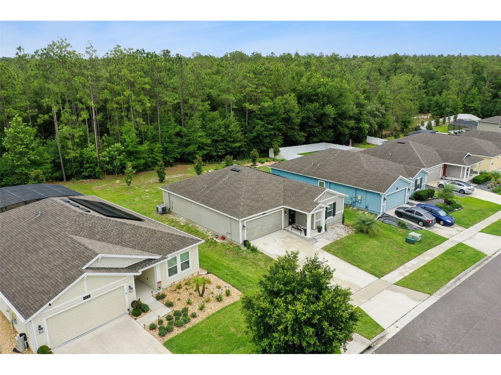 4810 Magnetite Loop Mount Dora FL 32757 O6412931 image51