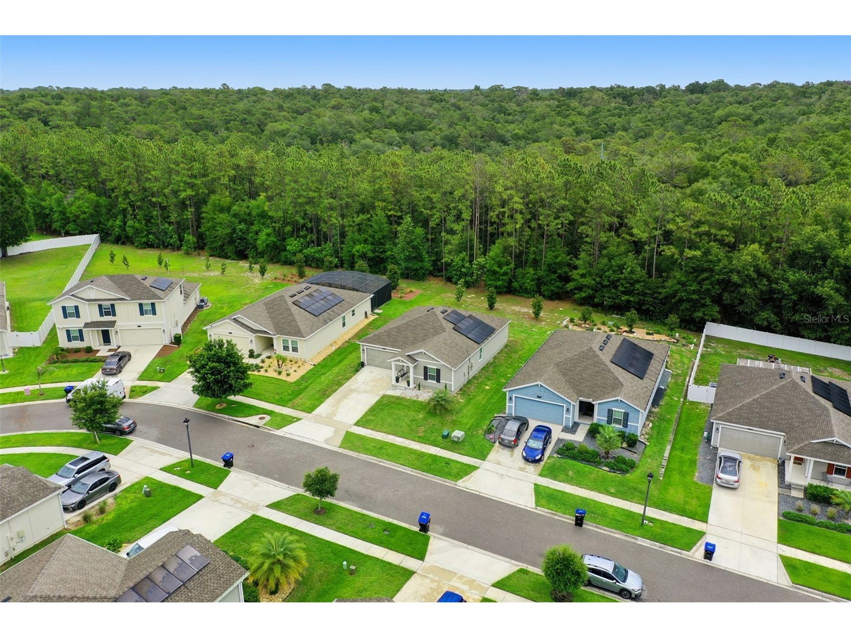 4810 Magnetite Loop Mount Dora FL 32757 O6412931 image57