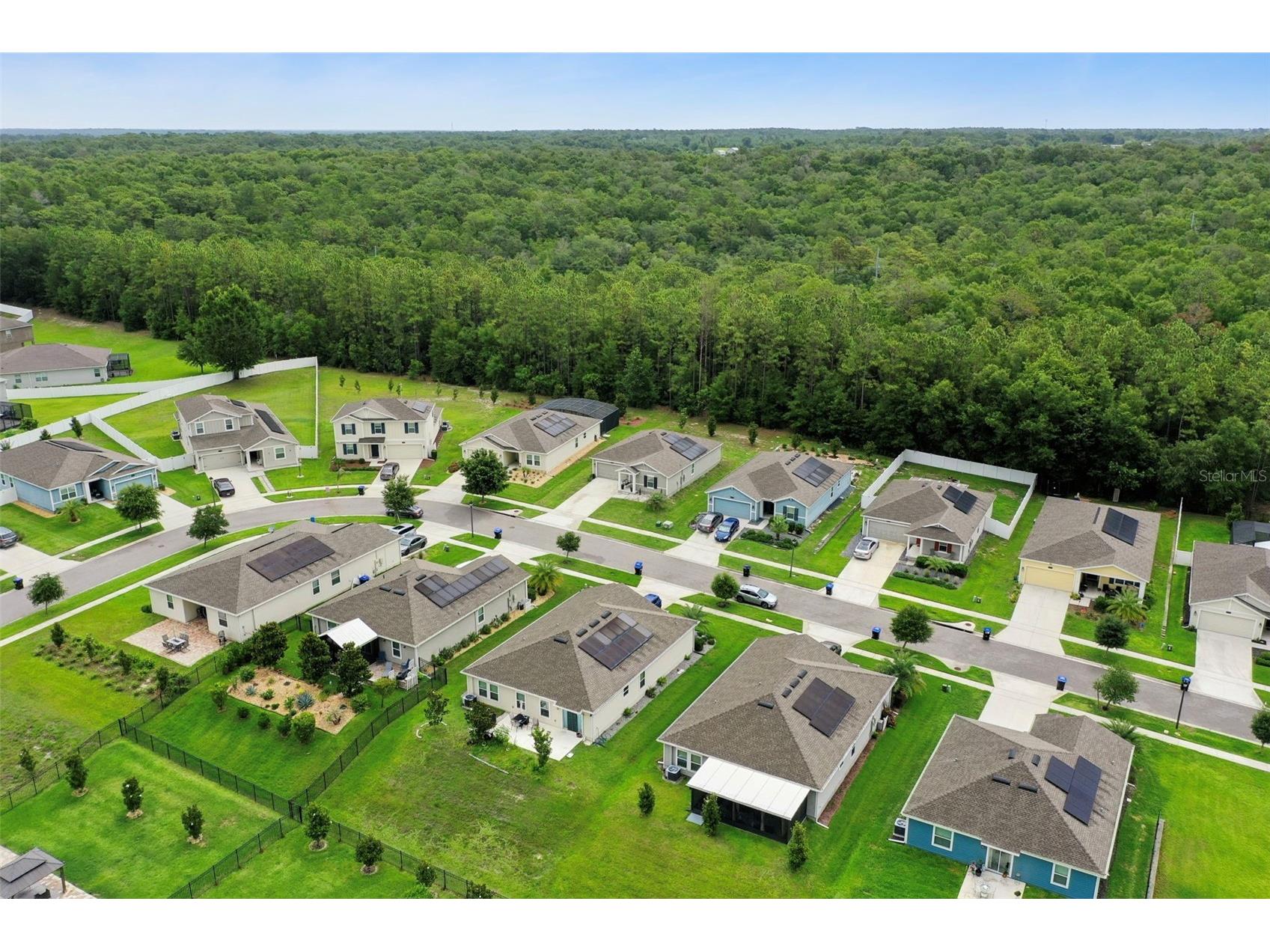4810 Magnetite Loop Mount Dora FL 32757 O6412931 image63