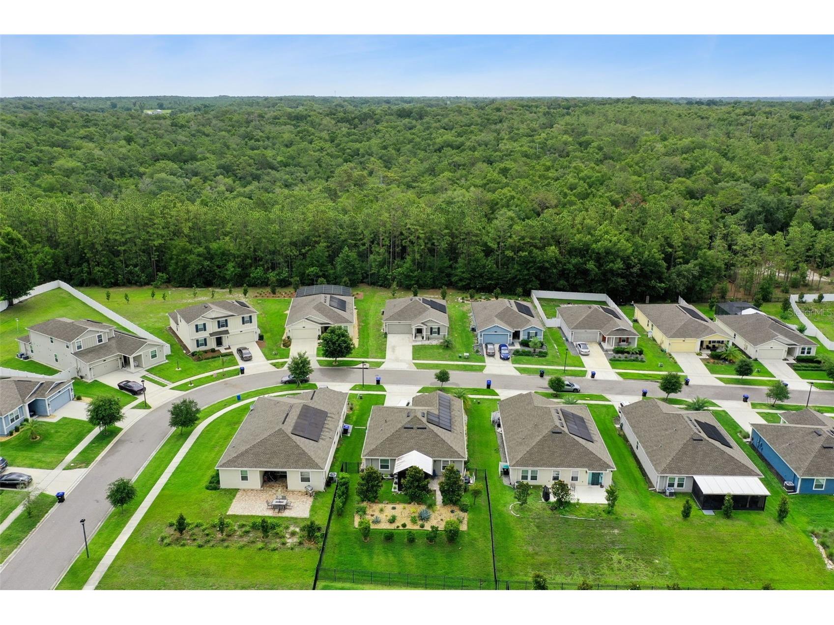 4810 Magnetite Loop Mount Dora FL 32757 O6412931 image64