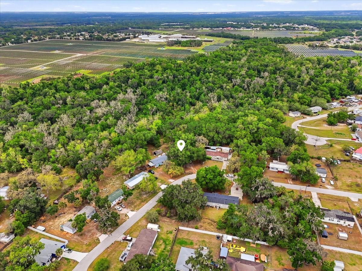 4810 Myrtle View Drive N Mulberry FL 33860 TB8494823 image49