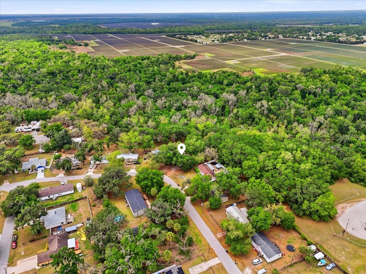 4810 Myrtle View Drive N Mulberry FL 33860 TB8494823 image51