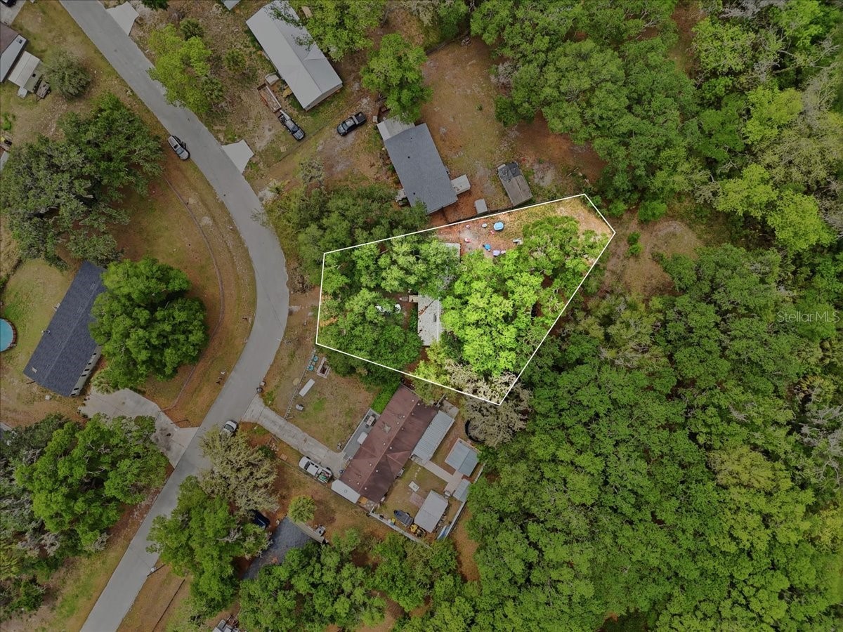 4810 Myrtle View Drive N Mulberry FL 33860 TB8494823 image52