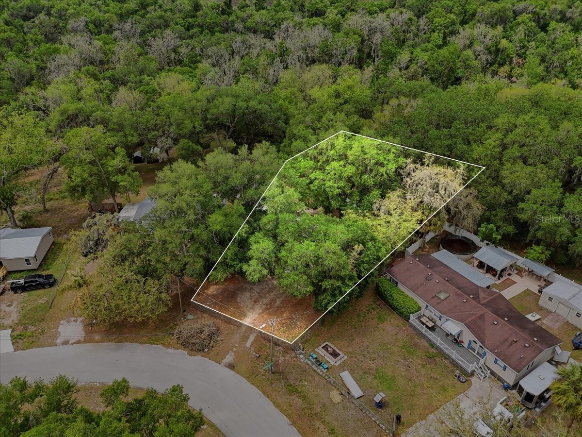 4810 Myrtle View Drive N Mulberry FL 33860 TB8494823 image53