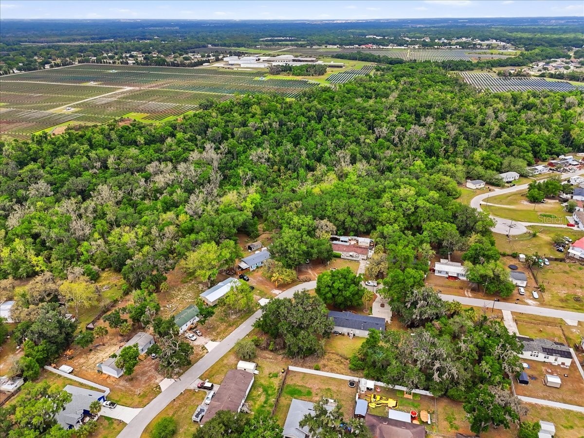 4810 Myrtle View Drive N Mulberry FL 33860 TB8494823 image56
