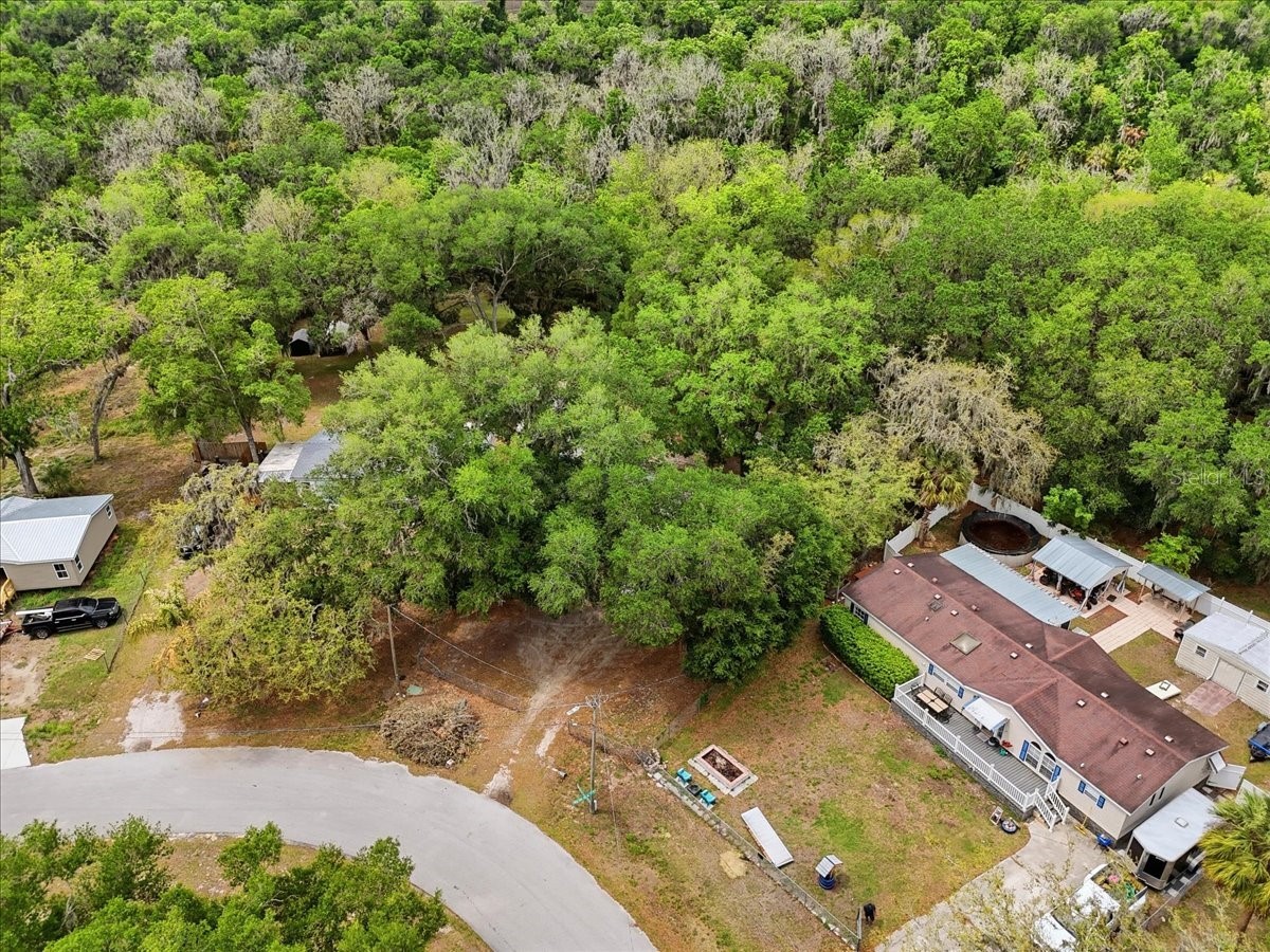4810 Myrtle View Drive N Mulberry FL 33860 TB8494823 image57