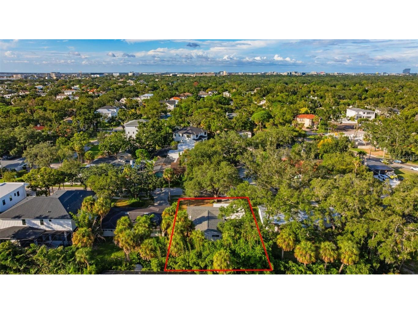 4810 W San Jose Street Tampa FL 33629 TB8445474 image5