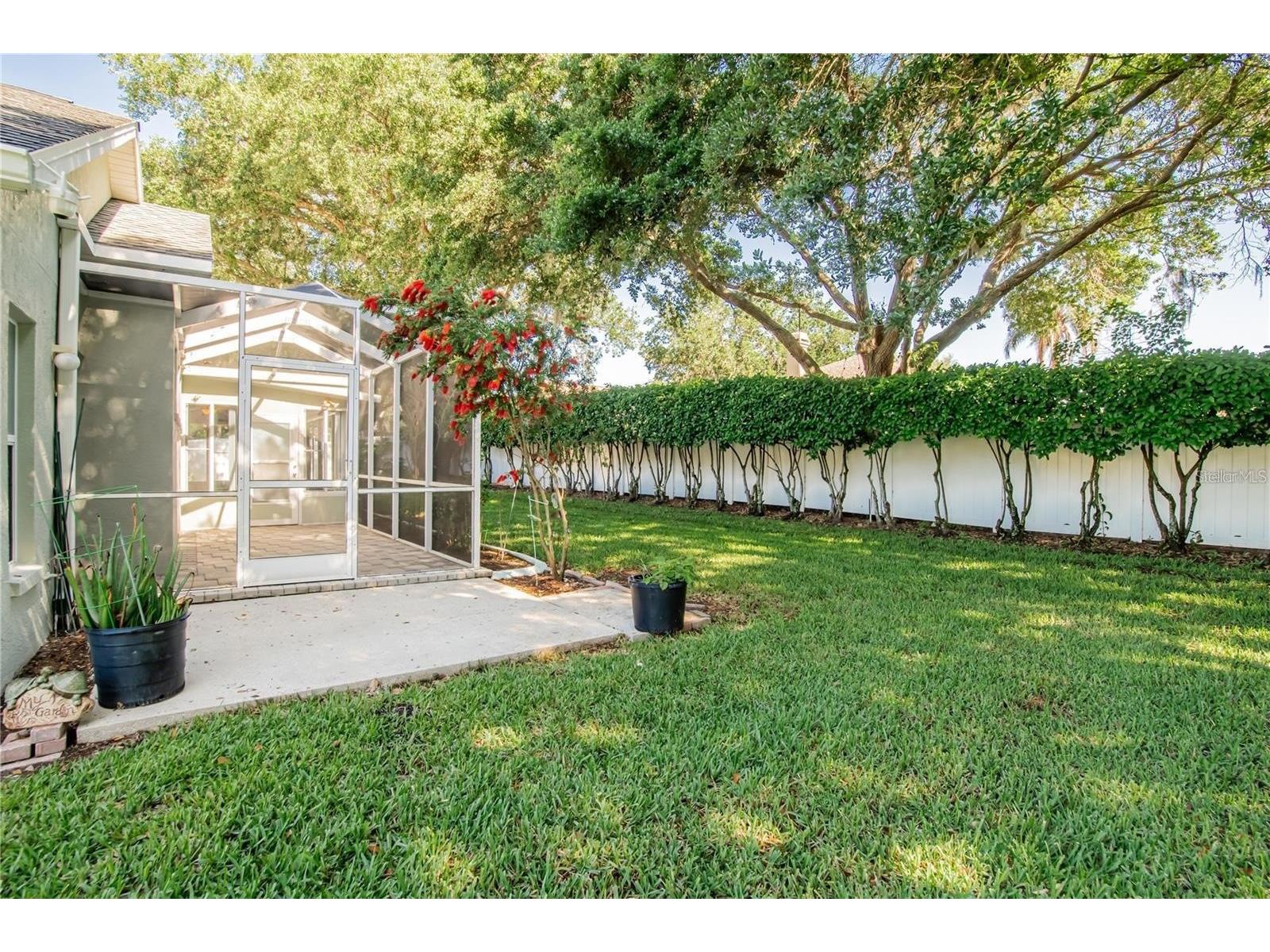 4810 Water Lark Way Valrico FL 33596 TB8496904 image26
