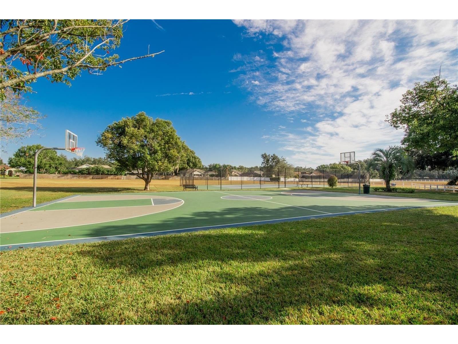 4810 Water Lark Way Valrico FL 33596 TB8496904 image28