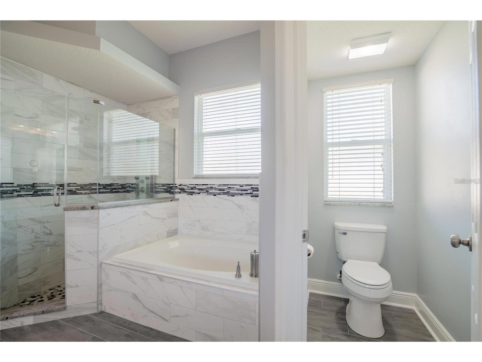4810 Water Lark Way Valrico FL 33596 TB8496904 image8
