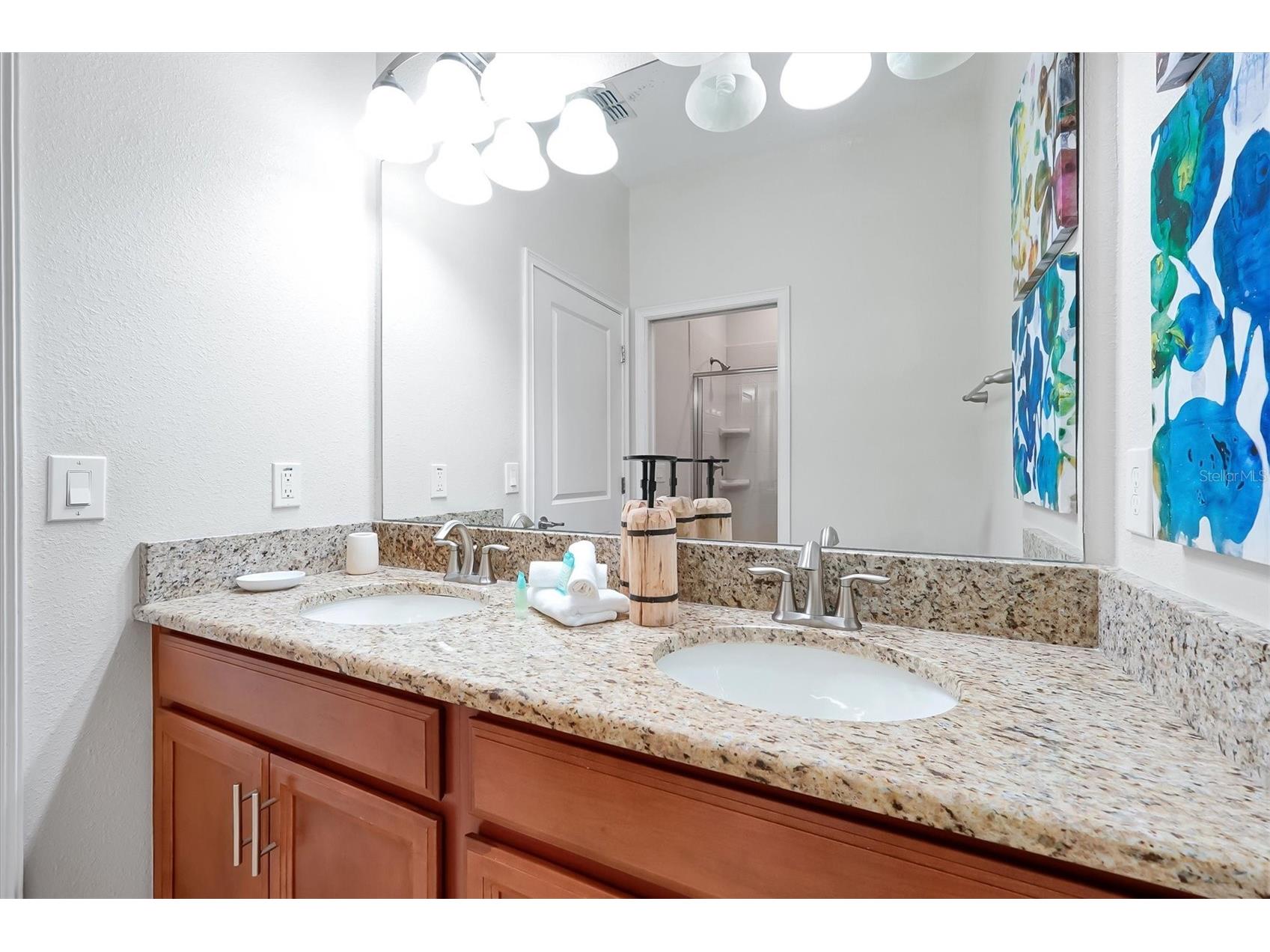 4811 Brier Rose Lane Kissimmee FL 34746 S5123963 image20