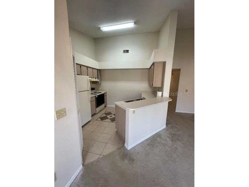 4811 Brighton Terrace #F Orlando FL 32811 O6297669 image4