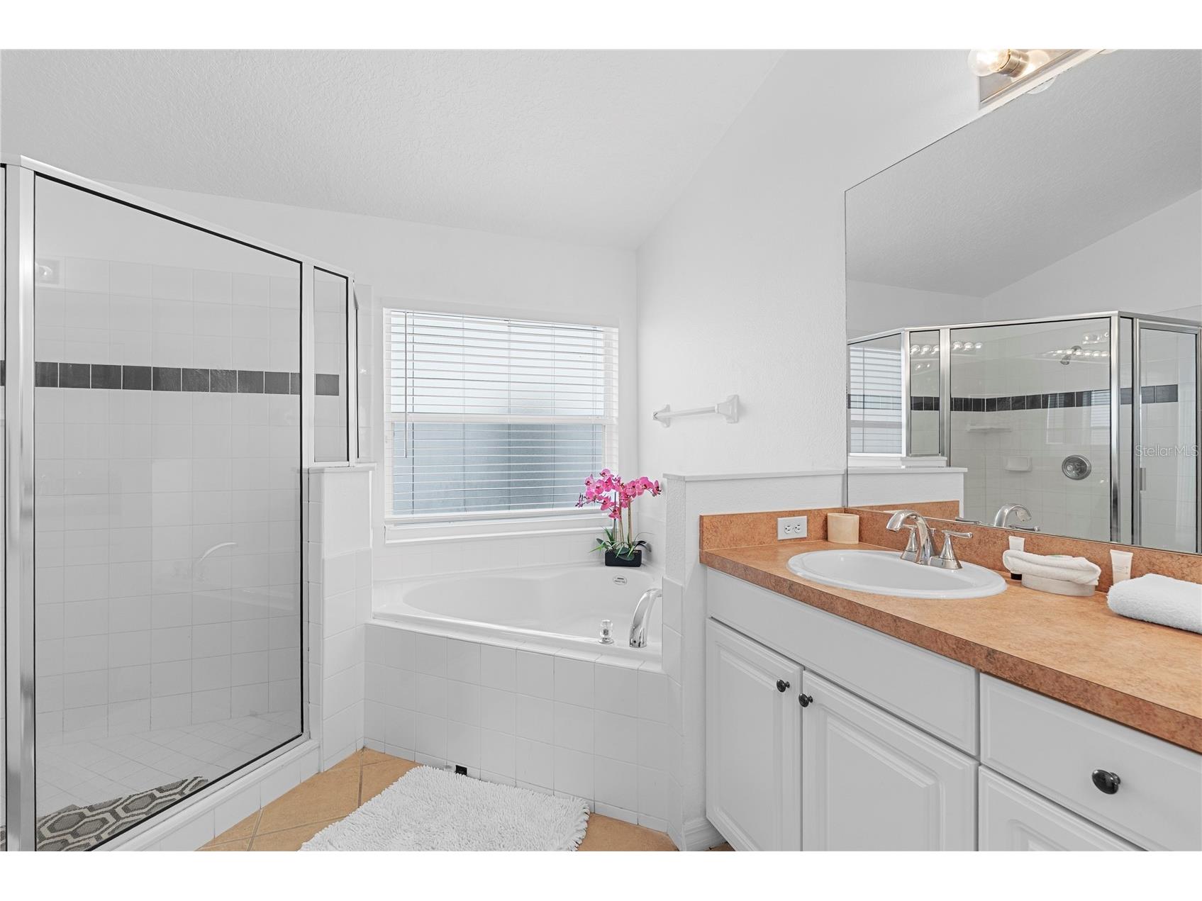 4811 Cumbrian Lakes Drive Kissimmee FL 34746 O6415416 image15