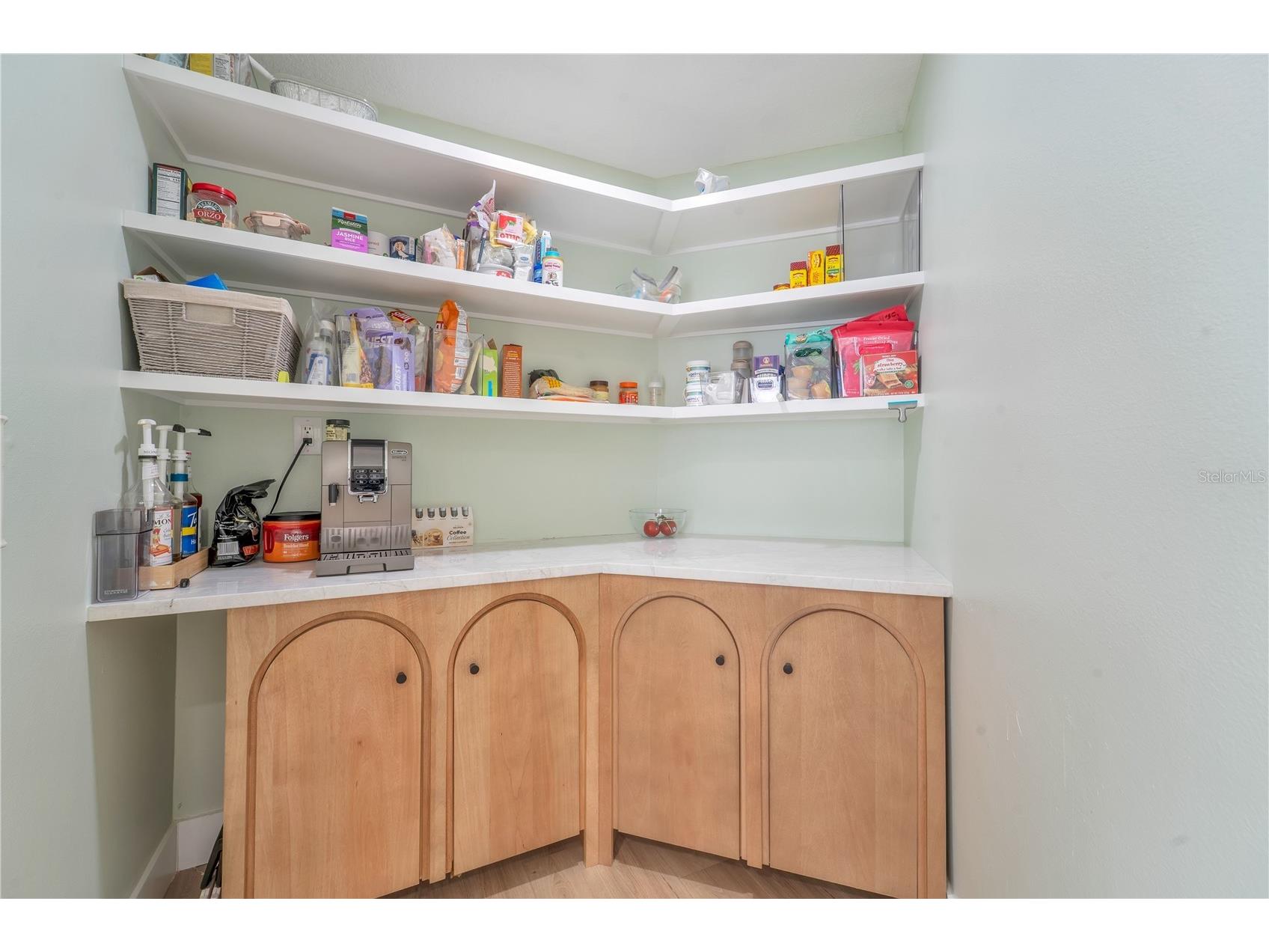 4811 Klosterman Oaks Boulevard Palm Harbor FL 34683 TB8517203 image12