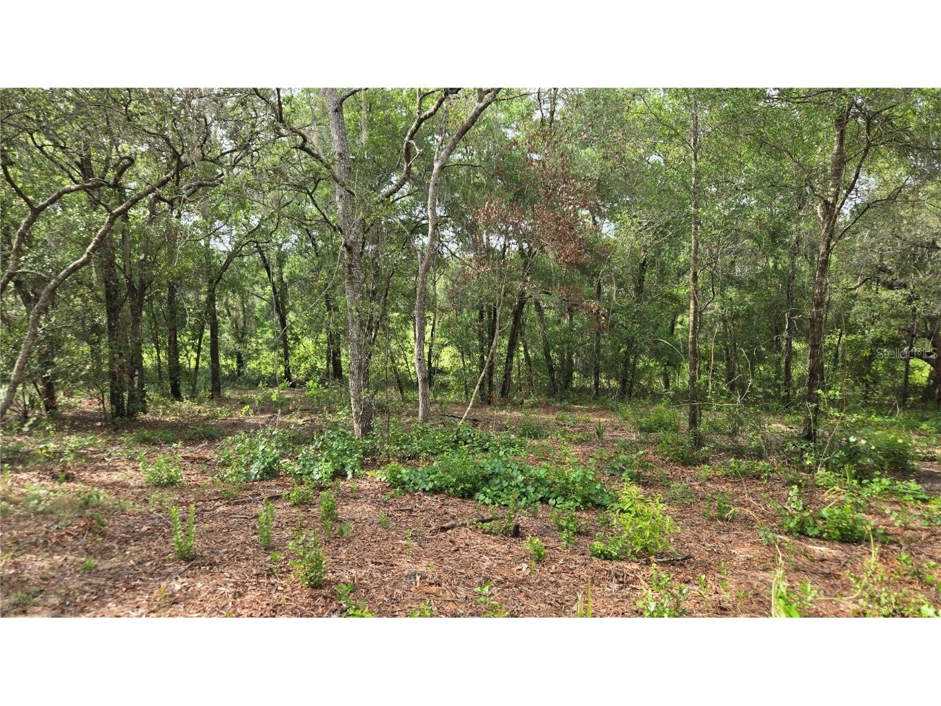 4811 N Redwood Avenue Hernando FL 34442 TB8398174 image16