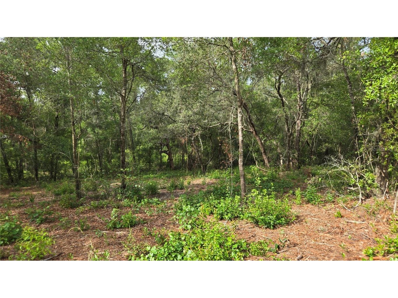 4811 N Redwood Avenue Hernando FL 34442 TB8398174 image18