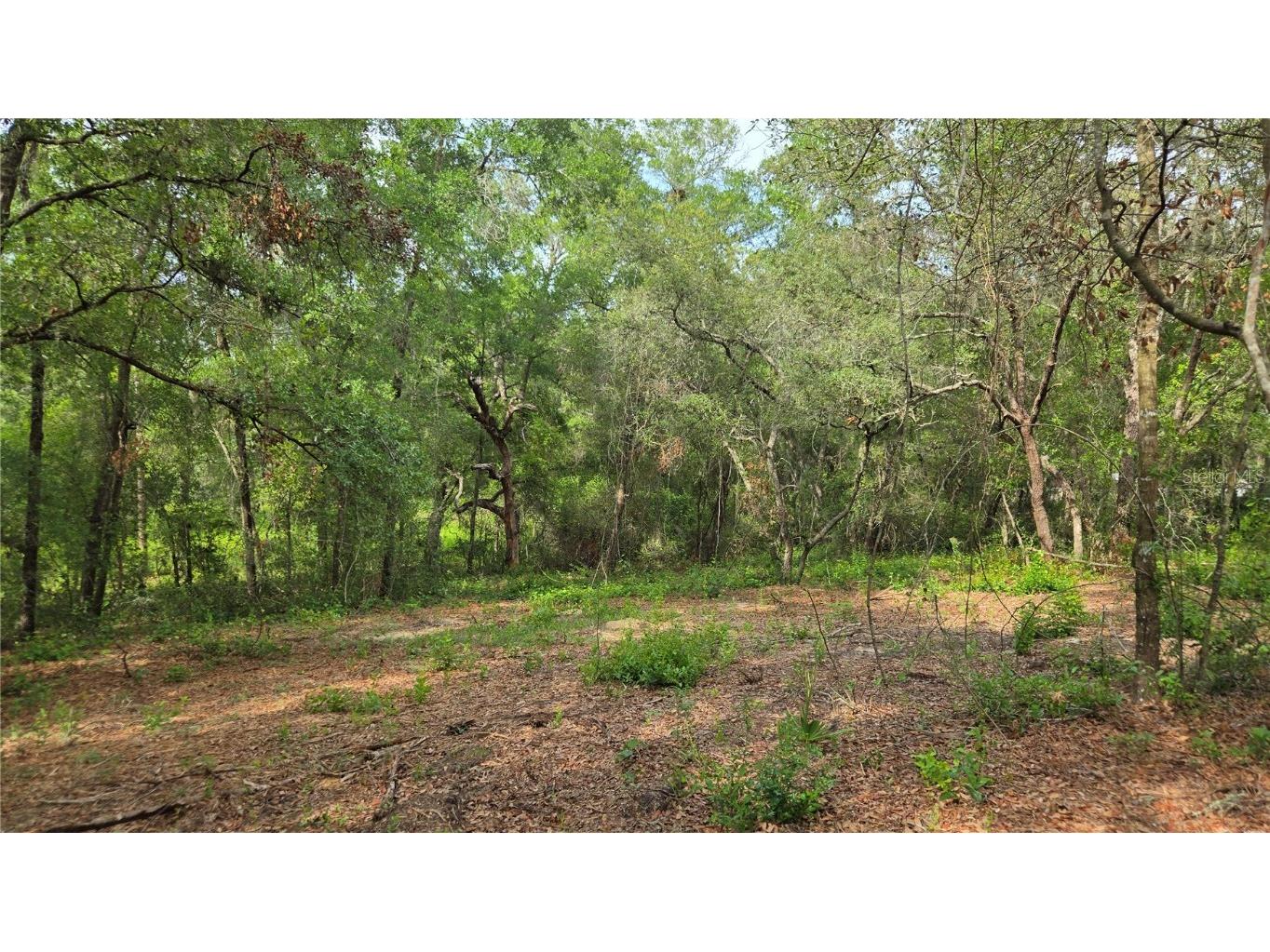 4811 N Redwood Avenue Hernando FL 34442 TB8398174 image19