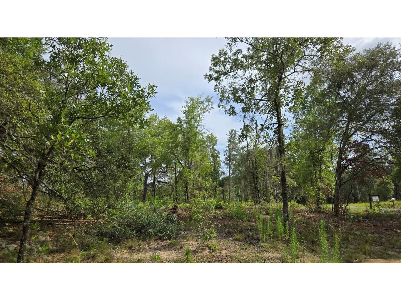 4811 N Redwood Avenue Hernando FL 34442 TB8398174 image22