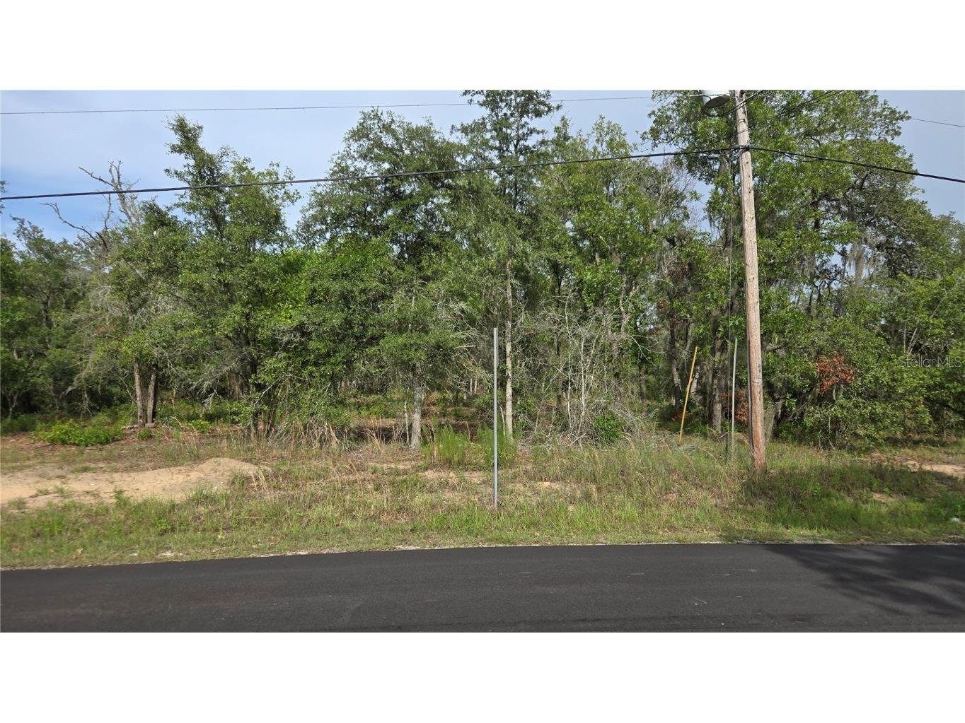 4811 N Redwood Avenue Hernando FL 34442 TB8398174 image24