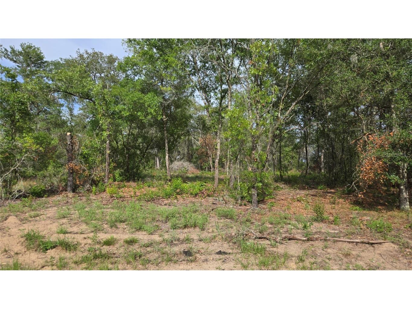 4811 N Redwood Avenue Hernando FL 34442 TB8398174 image8