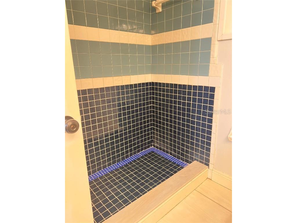 4812 Bonita Vista Drive Tampa FL 33634 TB8387296 image19